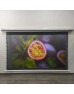 CODEGEN LTALR-100 Long Throw ALR Tension Gri Yüzey Motorlu Projeksiyon Perdesi 100 inch (221x125cm)