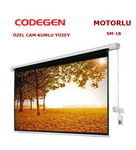 CODEGEN SM-18 MOTORLU 180x180cm PROJEKSİYON PERDESİ