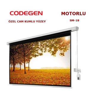 CODEGEN SM-18 MOTORLU 180x180cm PROJEKSİYON PERDESİ