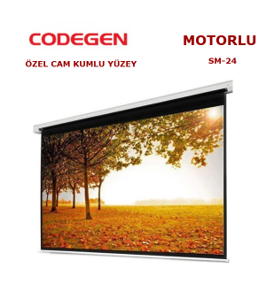 CODEGEN SM-24 MOTORLU 240x200cm PROJEKSİYON PERDESİ