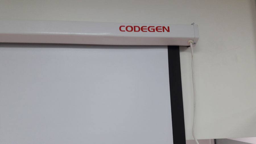 codegen ex-20 motorlu projeksiyon perde